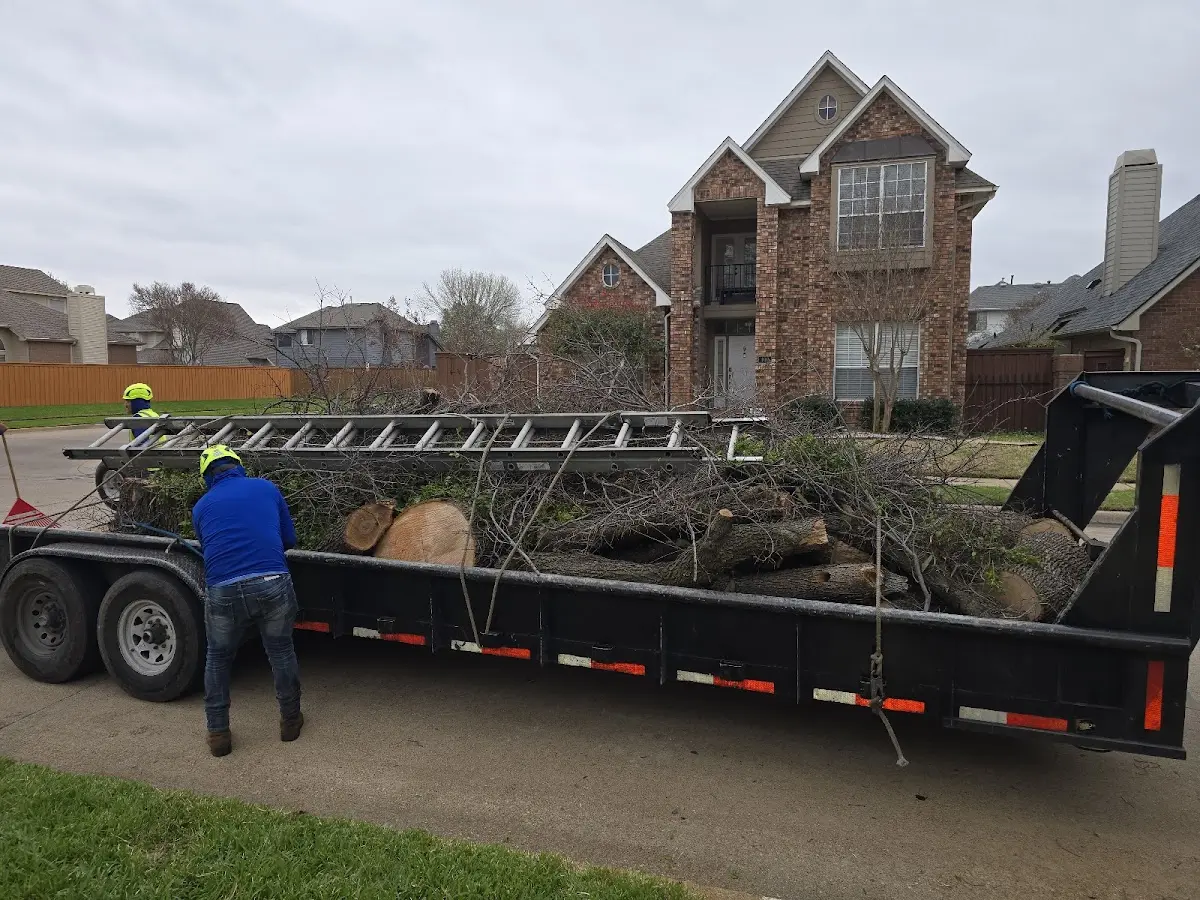 Expert Tree Fertilization with proper safety equipment in Selby